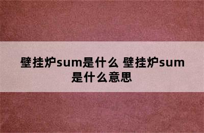 壁挂炉sum是什么 壁挂炉sum是什么意思